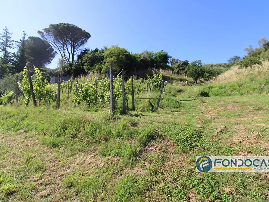 Immagine 52 di Casa indipendente in vendita  in Via Val Di Badia a Buti