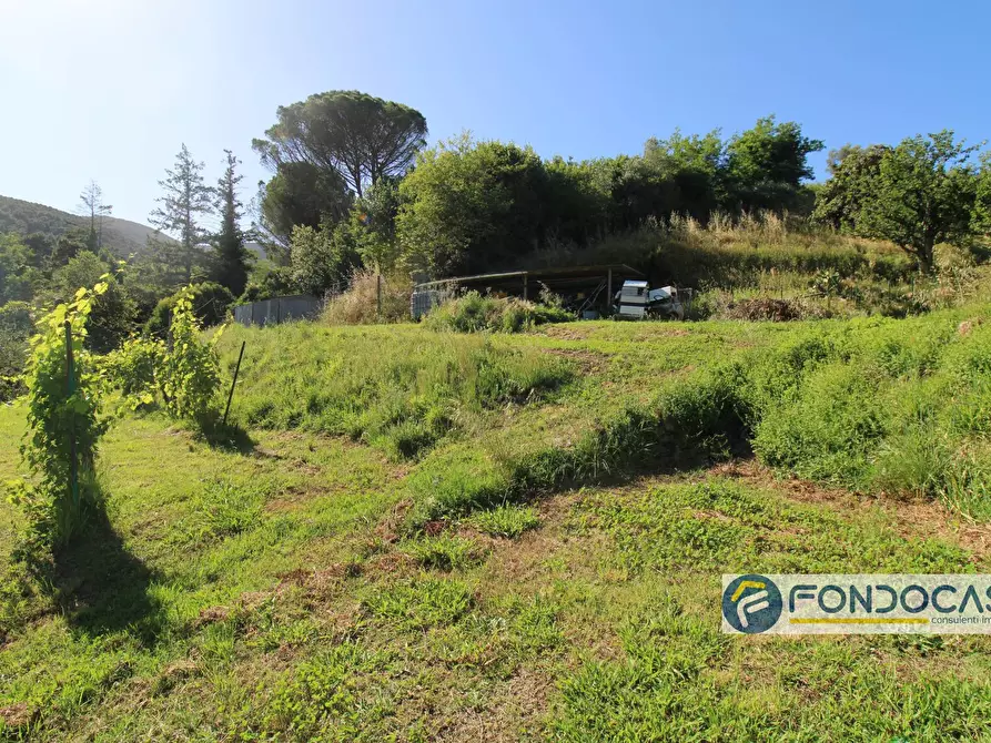 Immagine 54 di Casa indipendente in vendita  in Via Val Di Badia a Buti
