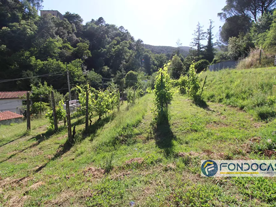 Immagine 57 di Casa indipendente in vendita  in Via Val Di Badia a Buti