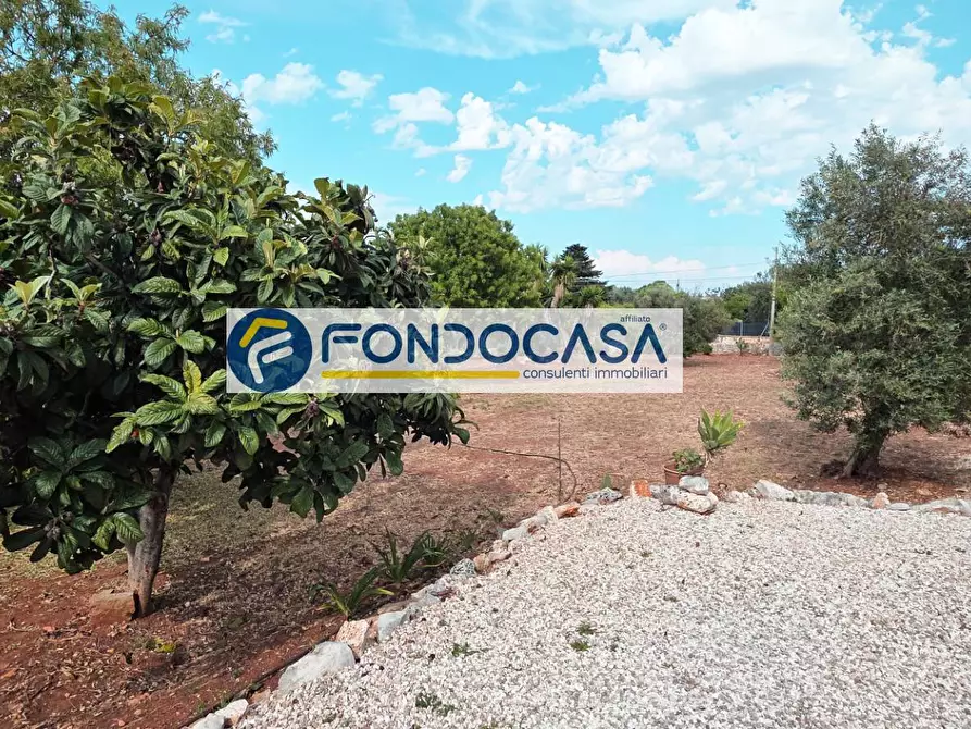 Immagine 34 di Casa semindipendente in vendita  in Via Pescara a San Vito Dei Normanni