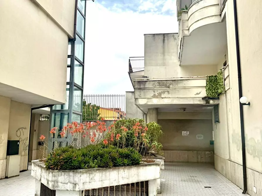 Immagine 3 di Appartamento in vendita  a San Vitaliano