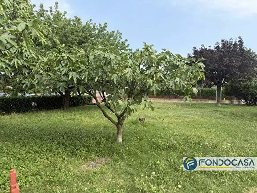 Immagine 4 di Terreno residenziale in vendita  a Azzano San Paolo