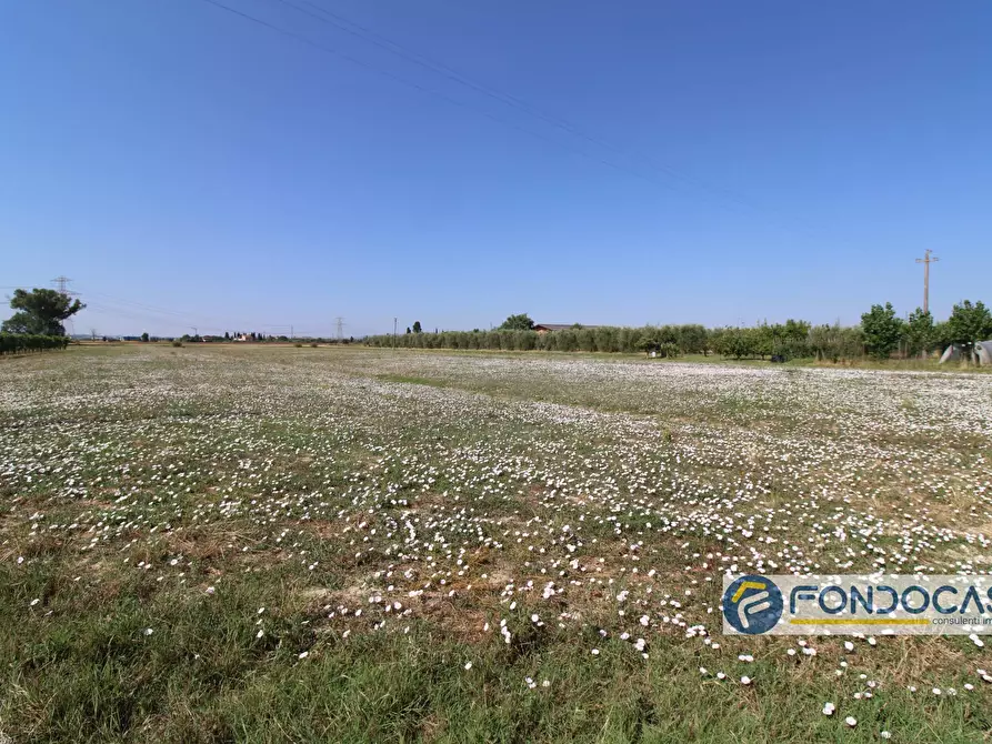Immagine 1 di Terreno agricolo in vendita  in Strada Comunale Della Rotina a Pontedera