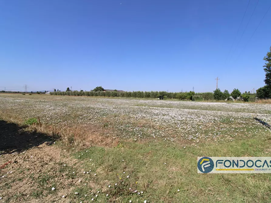 Immagine 6 di Terreno agricolo in vendita  in Strada Comunale Della Rotina a Pontedera