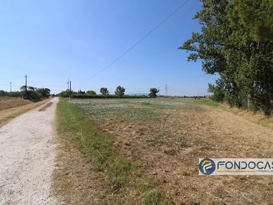 Immagine 9 di Terreno agricolo in vendita  in Strada Comunale Della Rotina a Pontedera