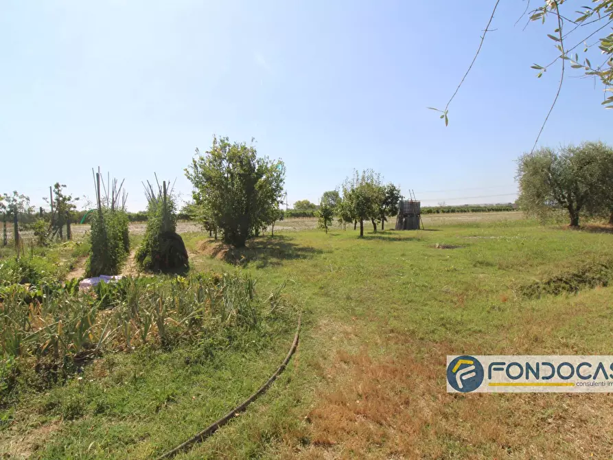 Immagine 12 di Terreno agricolo in vendita  in Strada Comunale Della Rotina a Pontedera