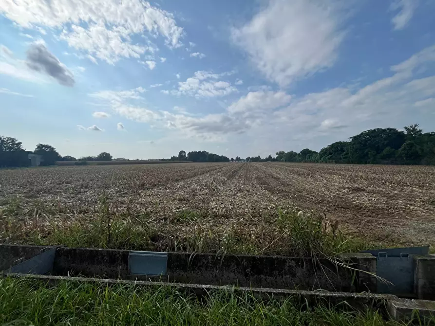 Immagine 1 di Terreno agricolo in vendita  a Palazzolo Sull'oglio
