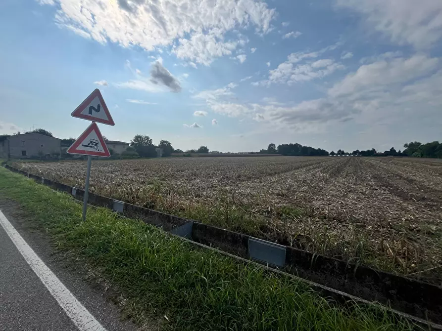 Immagine 2 di Terreno agricolo in vendita  a Palazzolo Sull'oglio