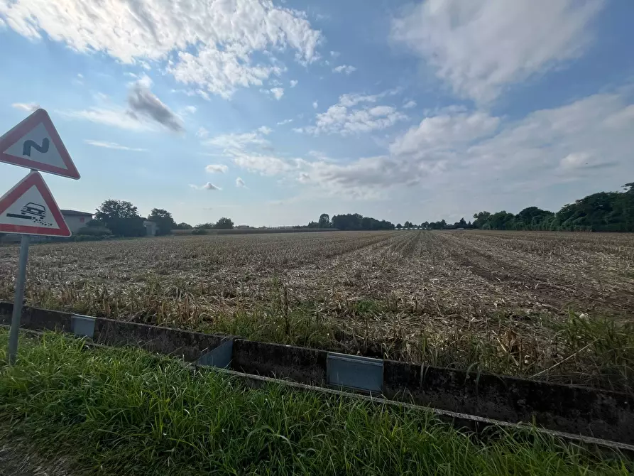Immagine 3 di Terreno agricolo in vendita  a Palazzolo Sull'oglio
