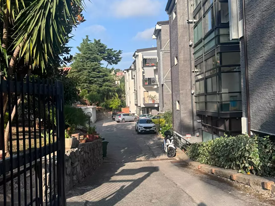 Immagine 3 di Appartamento in affitto  in Viale Degli Eucalipti 14 a Salerno