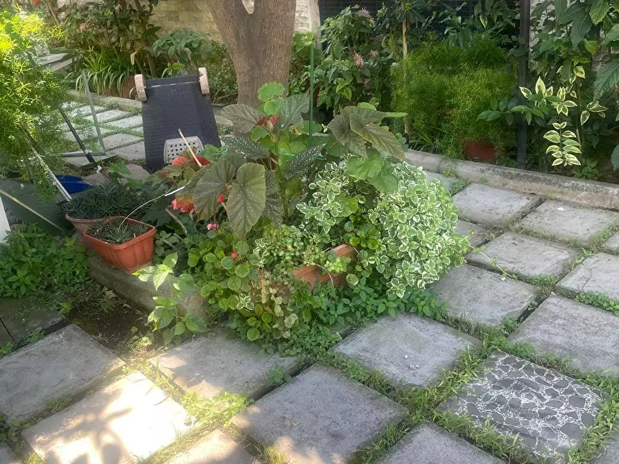 Immagine 15 di Appartamento in affitto  in Via Generale Clark 41 a Salerno