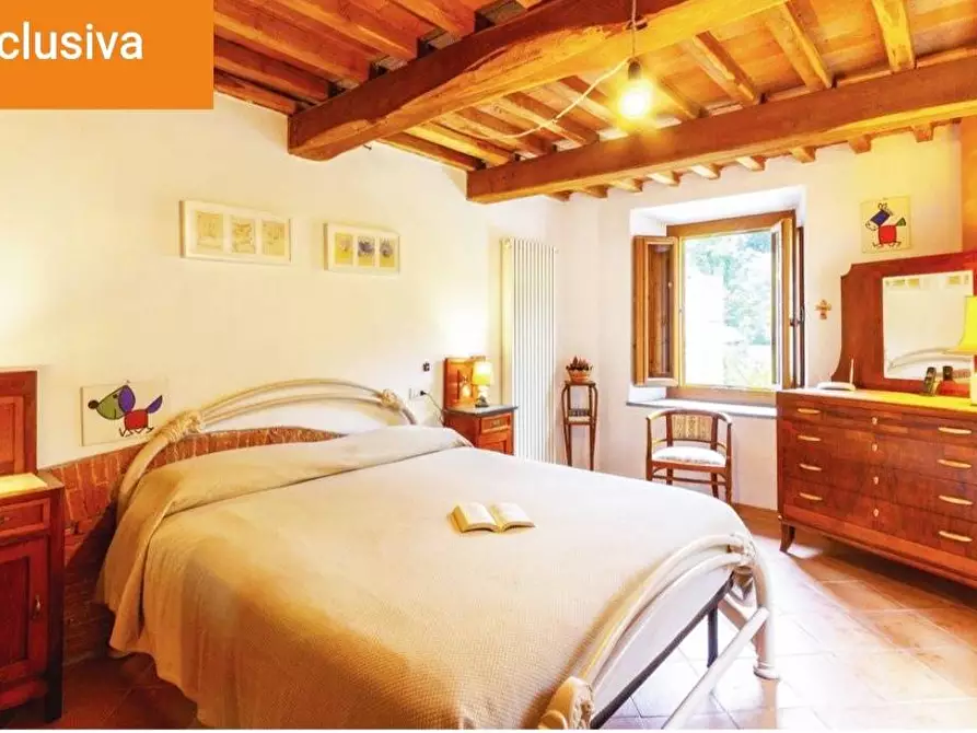 Immagine 14 di Rustico / casale in vendita  a Calci