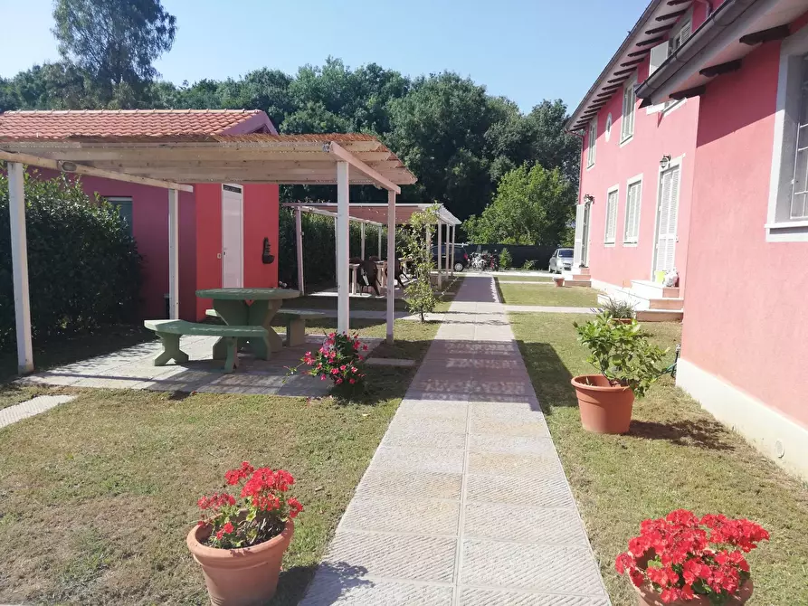 Immagine 3 di Casa indipendente in vendita  a Massarosa