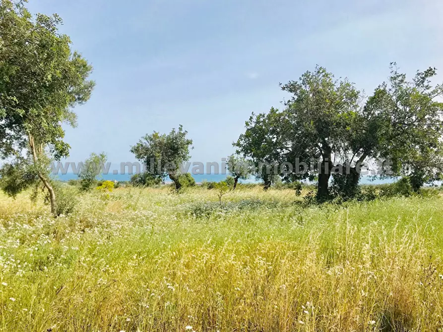 Immagine 3 di Terreno agricolo in vendita  in C.da Bellamagna a Modica