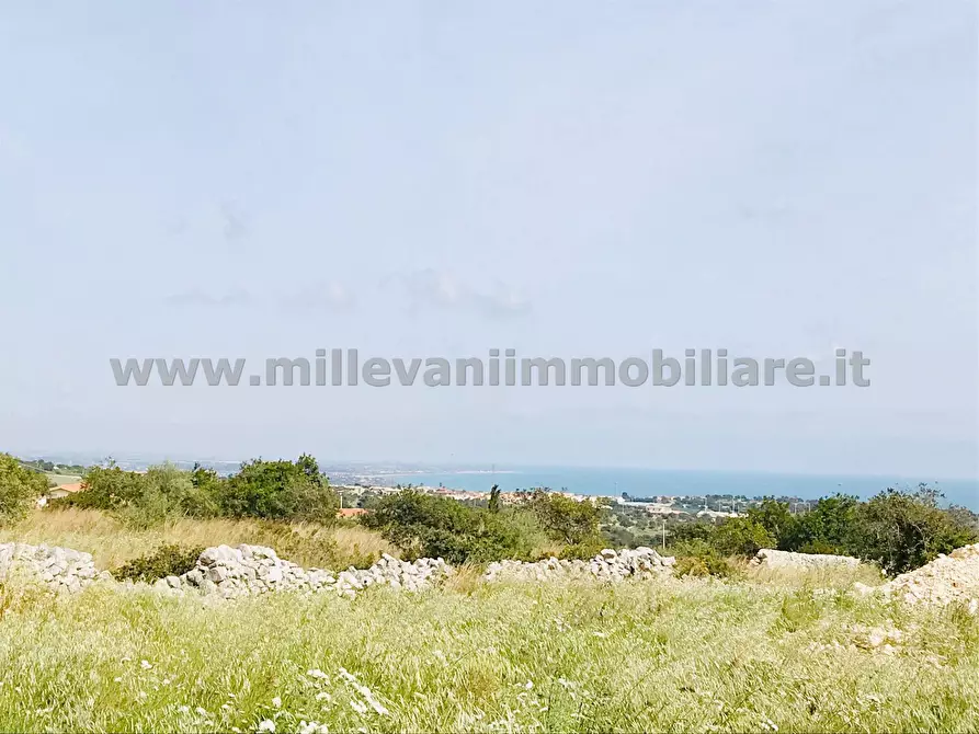 Immagine 5 di Terreno agricolo in vendita  in C.da Bellamagna a Modica