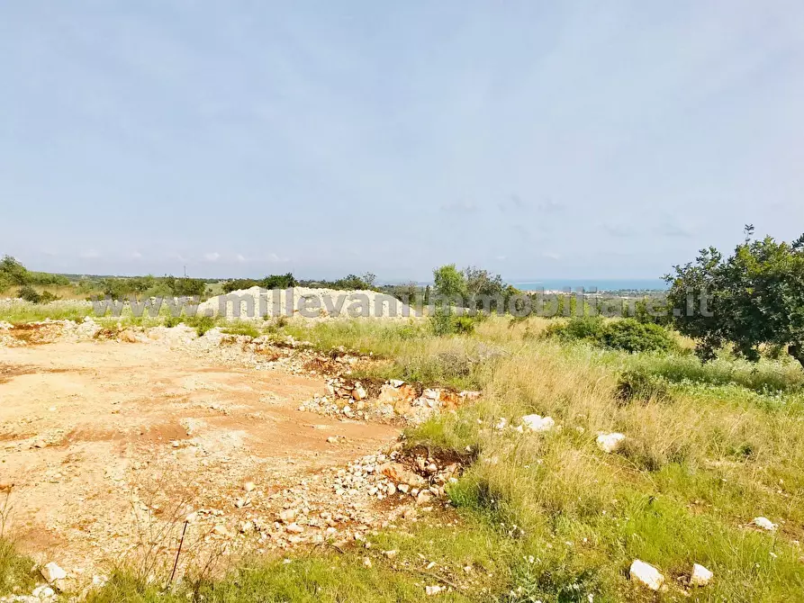 Immagine 6 di Terreno agricolo in vendita  in C.da Bellamagna a Modica