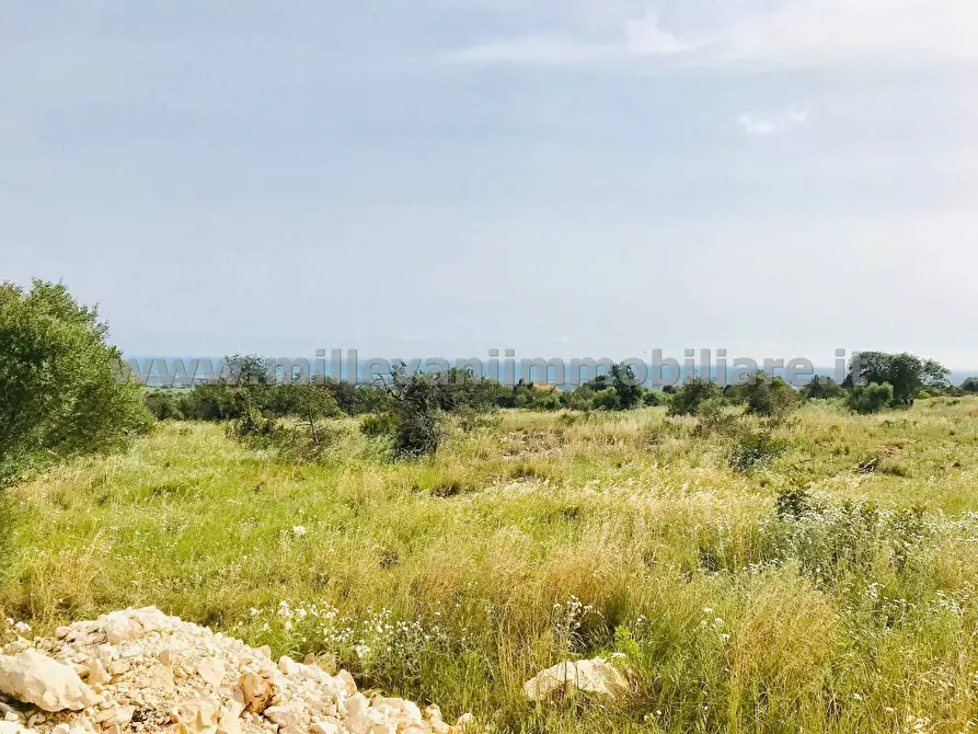 Immagine 8 di Terreno agricolo in vendita  in C.da Bellamagna a Modica