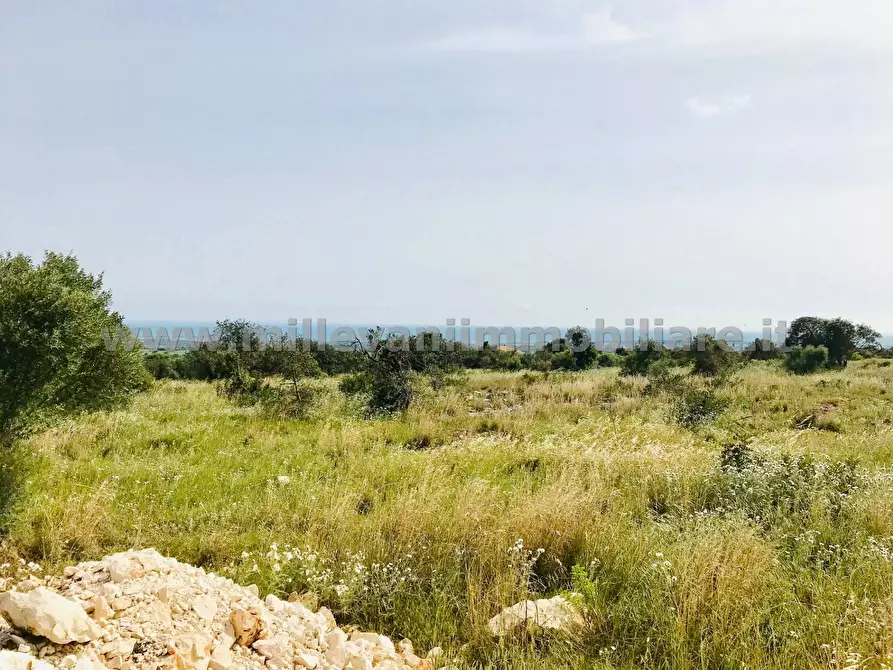 Immagine 9 di Terreno agricolo in vendita  in C.da Bellamagna a Modica
