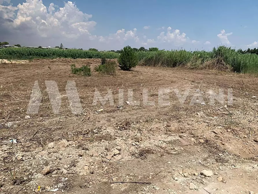 Immagine 4 di Terreno residenziale in vendita  in zona CT1 S.P. 67 a Ispica