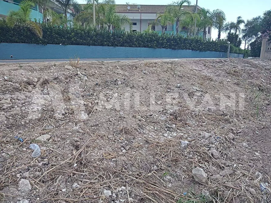 Immagine 7 di Terreno residenziale in vendita  in zona CT1 S.P. 67 a Ispica
