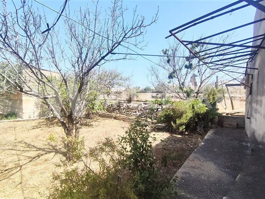 Immagine 12 di Casa indipendente in vendita  in Contrada Cava d'Aliga a Scicli