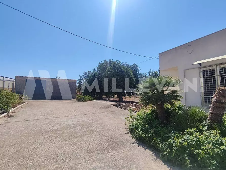 Immagine 19 di Villa in vendita  in C.da Spinazza a Scicli