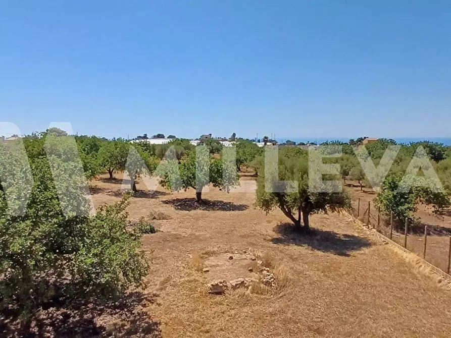 Immagine 21 di Villa in vendita  in C.da Spinazza a Scicli