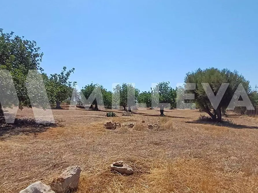 Immagine 22 di Villa in vendita  in C.da Spinazza a Scicli