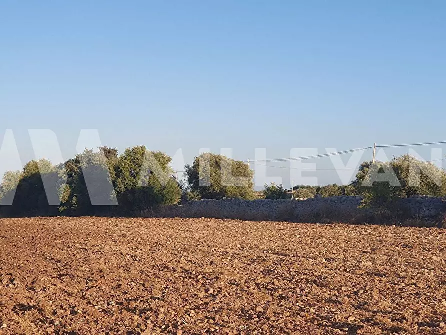 Immagine 2 di Terreno residenziale in vendita  a Rosolini