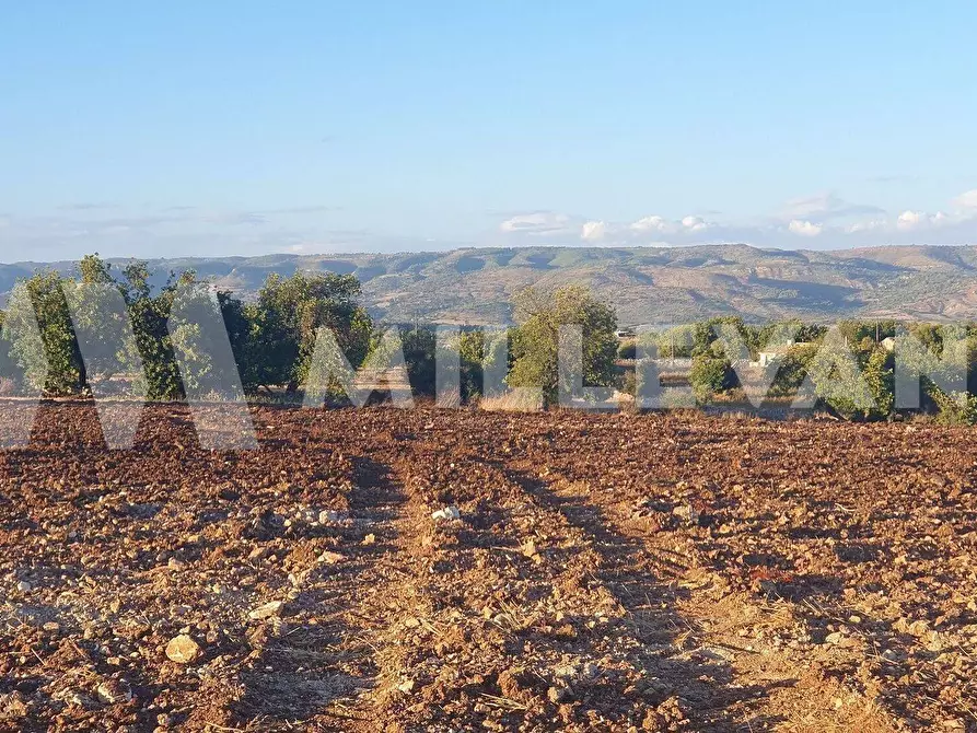 Immagine 3 di Terreno residenziale in vendita  a Rosolini