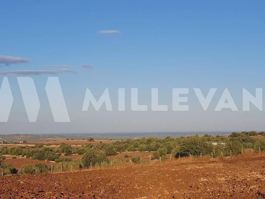 Immagine 4 di Terreno residenziale in vendita  a Rosolini