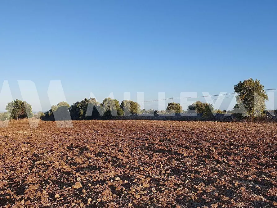 Immagine 5 di Terreno residenziale in vendita  a Rosolini