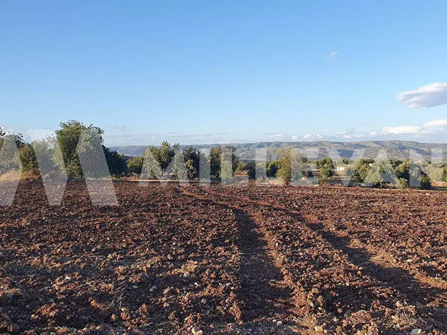 Immagine 6 di Terreno residenziale in vendita  a Rosolini