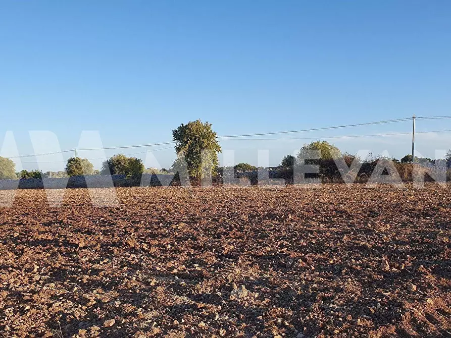 Immagine 7 di Terreno residenziale in vendita  a Rosolini