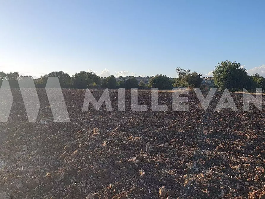 Immagine 8 di Terreno residenziale in vendita  a Rosolini