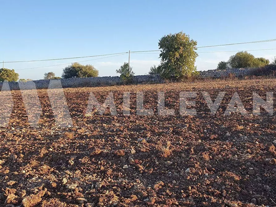 Immagine 9 di Terreno residenziale in vendita  a Rosolini