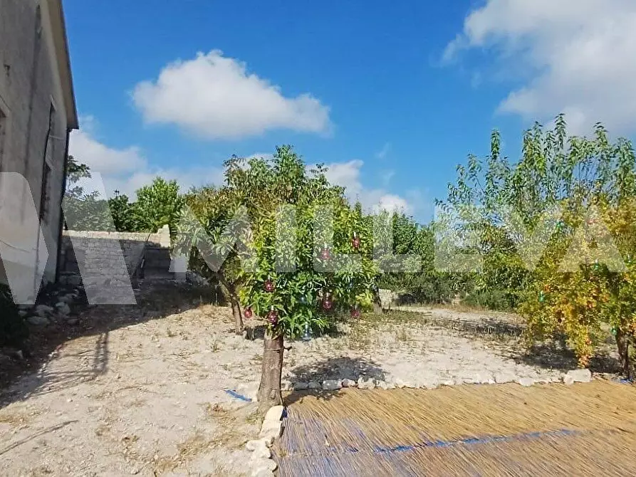 Immagine 28 di Villa in vendita  a Modica