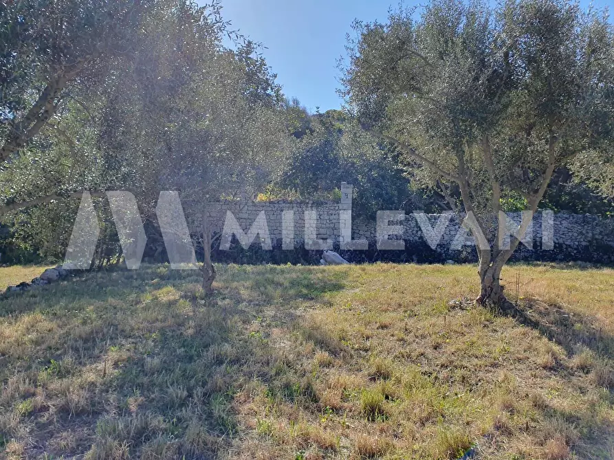 Immagine 18 di Rustico / casale in vendita  in Contrada Ufra a Modica