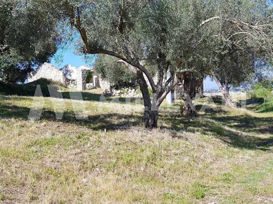 Immagine 19 di Rustico / casale in vendita  in Contrada Ufra a Modica