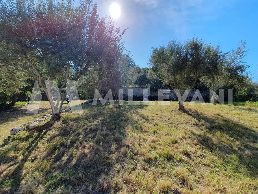 Immagine 23 di Rustico / casale in vendita  in Contrada Ufra a Modica