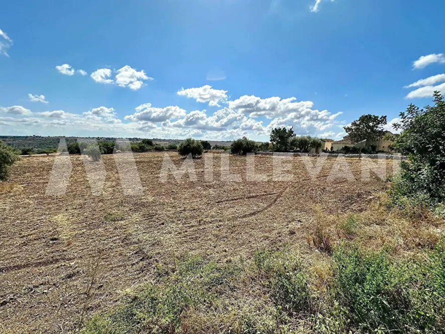 Immagine 4 di Terreno agricolo in vendita  in C.da Mauto a Giarratana
