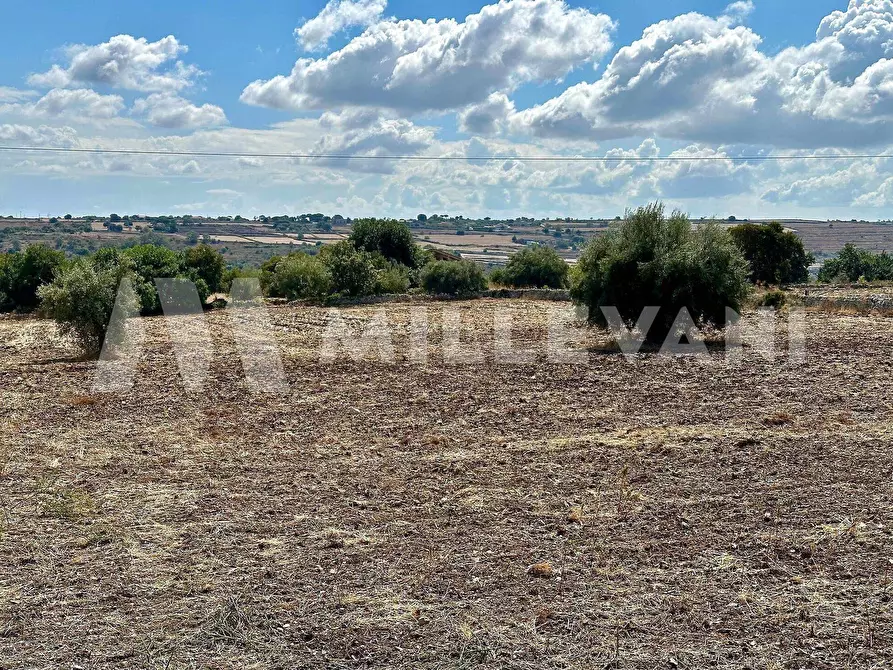 Immagine 5 di Terreno agricolo in vendita  in C.da Mauto a Giarratana