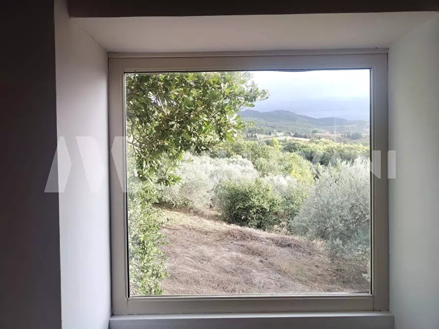 Immagine 6 di Rustico / casale in vendita  a Chiaramonte Gulfi