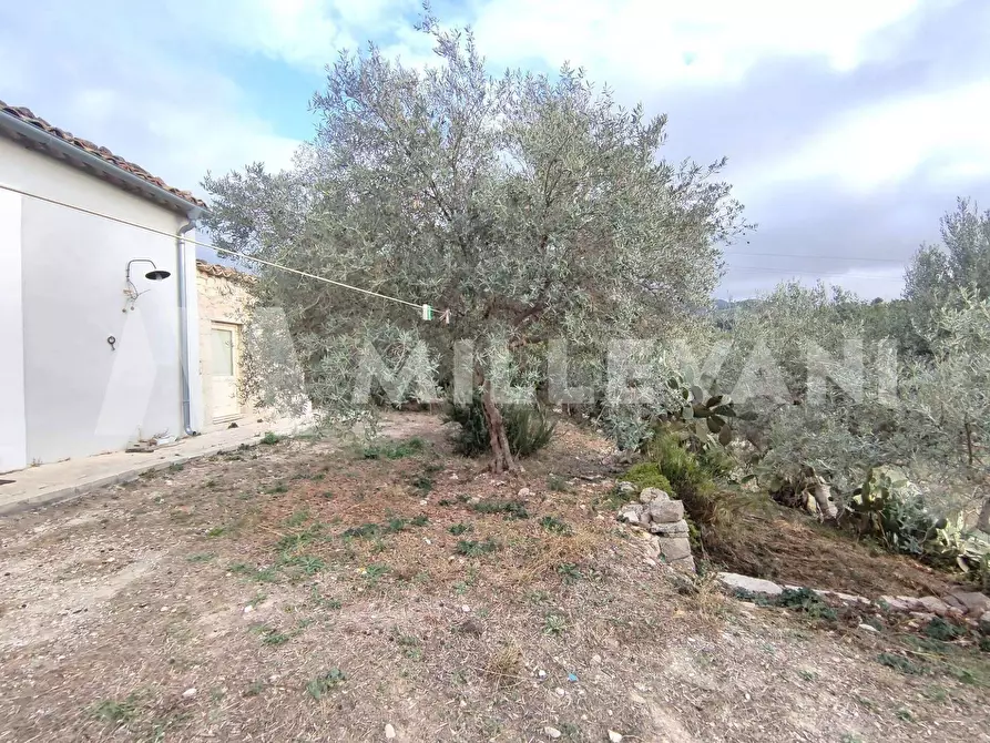 Immagine 22 di Rustico / casale in vendita  a Chiaramonte Gulfi