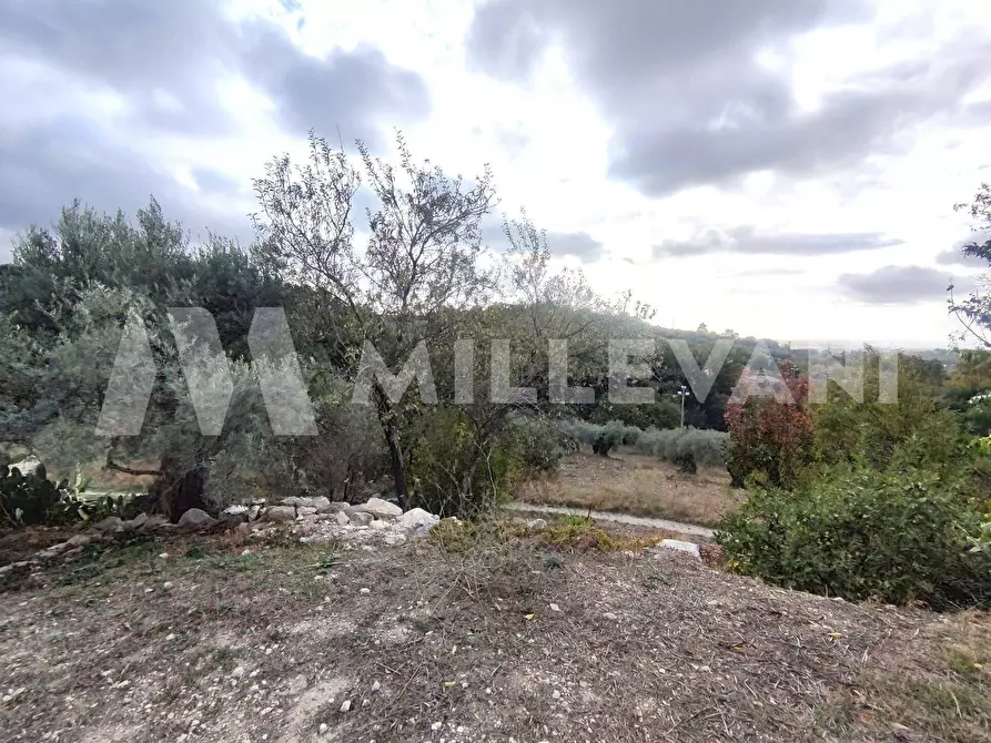 Immagine 24 di Rustico / casale in vendita  a Chiaramonte Gulfi