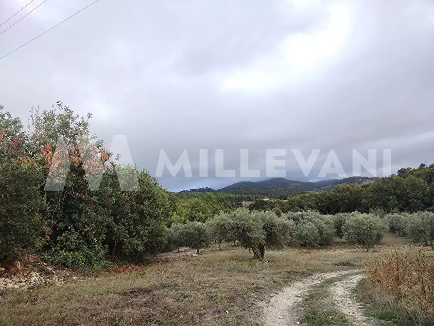 Immagine 25 di Rustico / casale in vendita  a Chiaramonte Gulfi