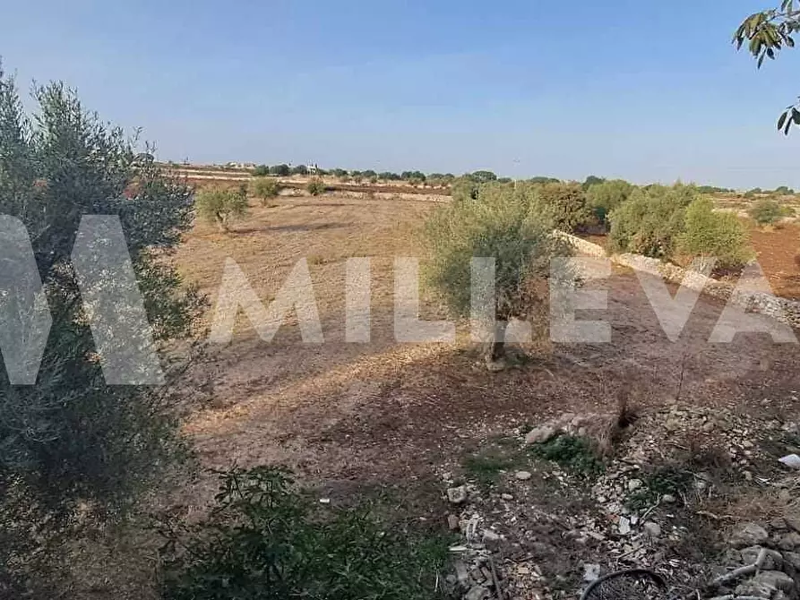 Immagine 16 di Rustico / casale in vendita  in C.da Crocevie Catanese a Modica