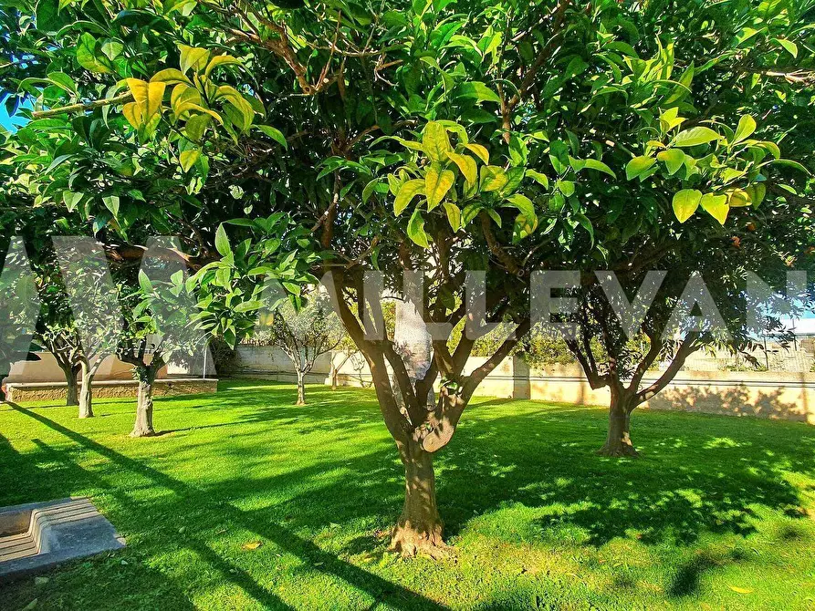 Immagine 24 di Villa in vendita  in Via M. L. King a Ispica