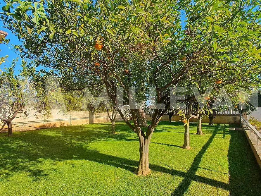 Immagine 26 di Villa in vendita  in Via M. L. King a Ispica