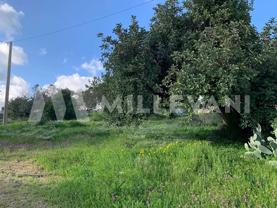 Immagine 23 di Rustico / casale in vendita  a Scicli